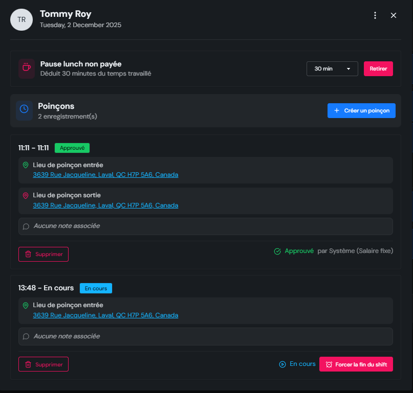 Capture d'écran du punch PlanOps